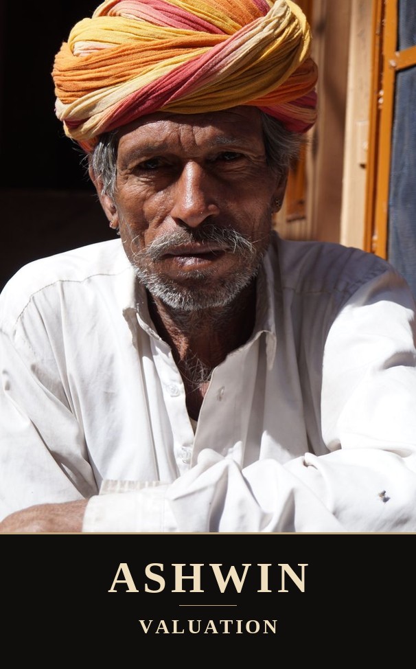 Ashwin portrait