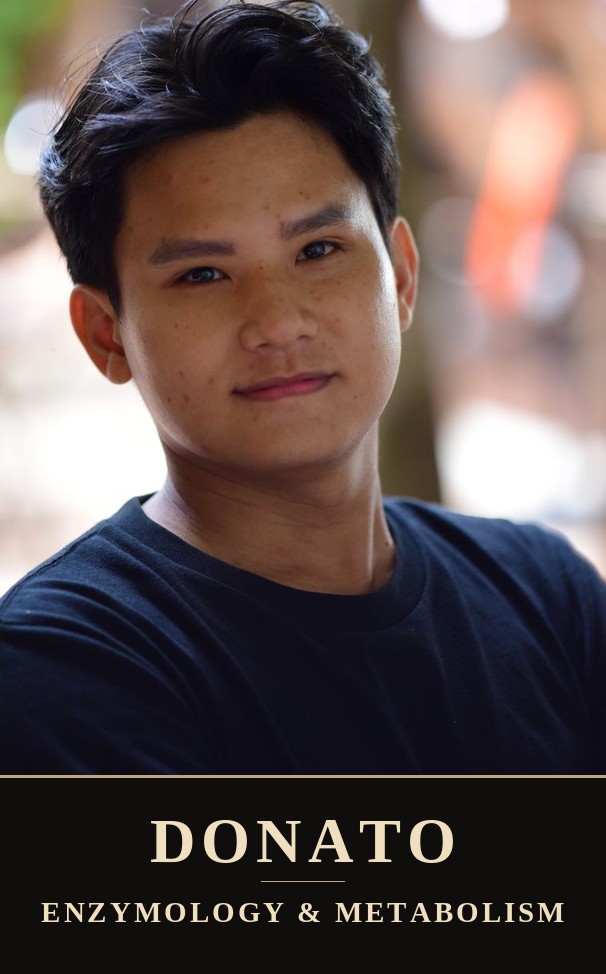 Donato portrait