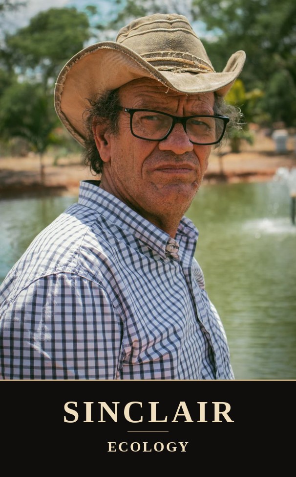 Sinclair portrait