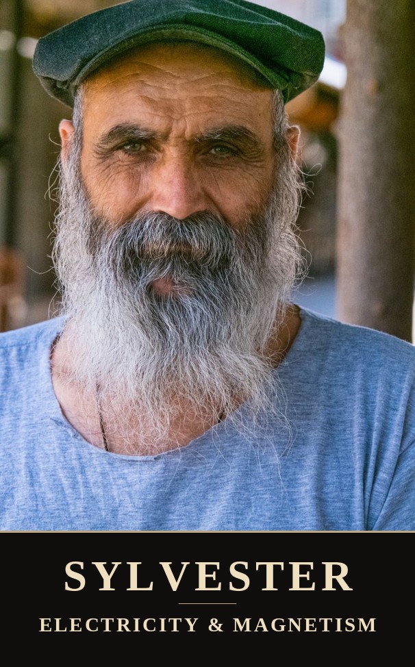 Sylvester portrait